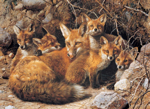 Reproductions of Carl Brenders Paintings Full House-Fox Family Reproductions of Carl Brenders Paintings Full House-Fox Family